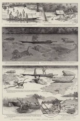 A Canoeing Expedition on a West African River, a Trader